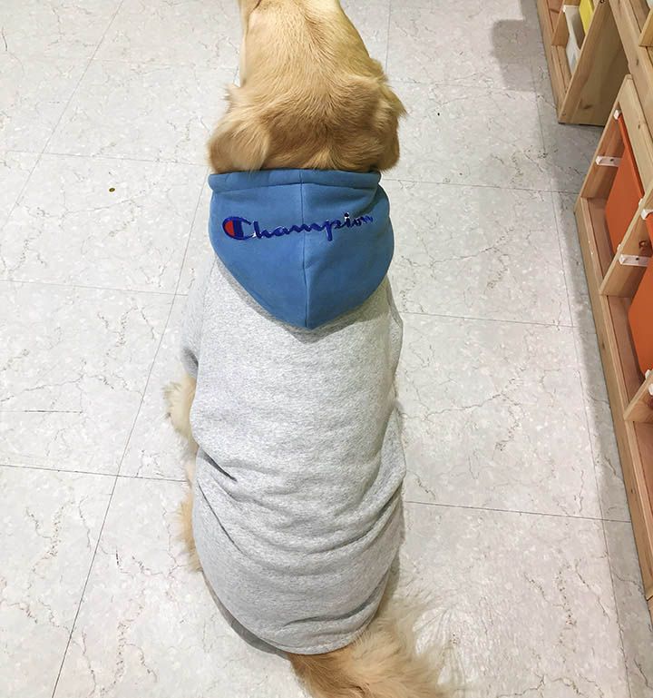 トレンドブランド 大型犬 洋服