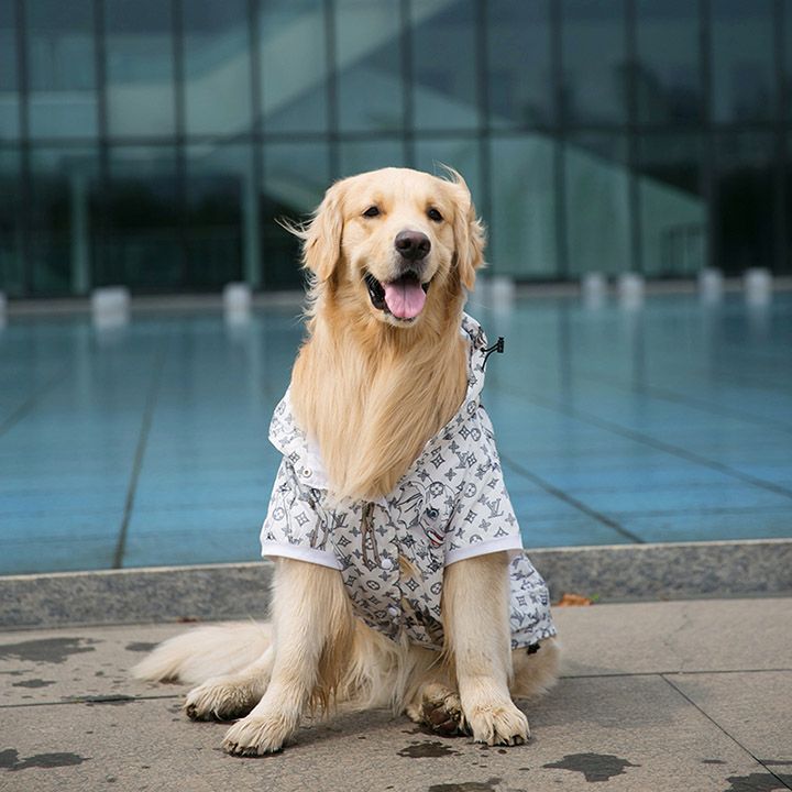 ルイヴィトン 犬とペアルック 親子服